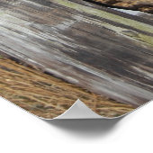 Poster Chevaux (Coin)