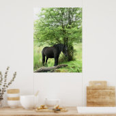 POSTER CHEVAUX (Cuisine)