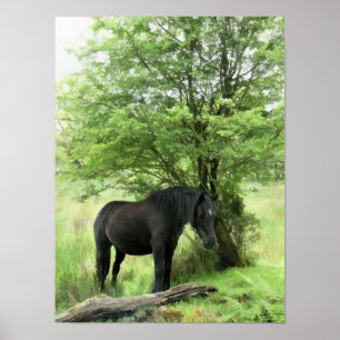 POSTER CHEVAUX