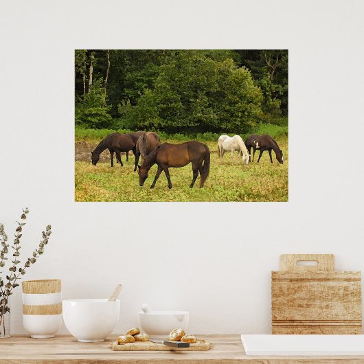 Poster Chevaux (Cuisine)