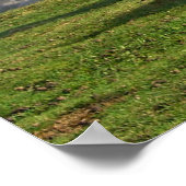 Poster Chevaux (Coin)