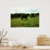 Poster Chevaux (Cuisine)