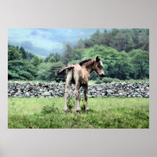 POSTER CHEVAUX (Devant)
