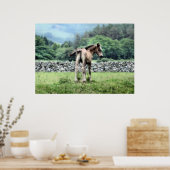 POSTER CHEVAUX (Cuisine)