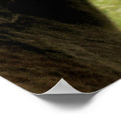 POSTER CHEVAUX (Coin)