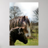 POSTER CHEVAUX (Devant)