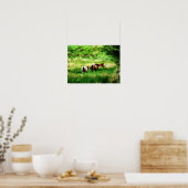 POSTER CHEVAUX (Cuisine)