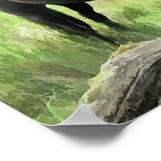 POSTER CHEVAUX (Coin)