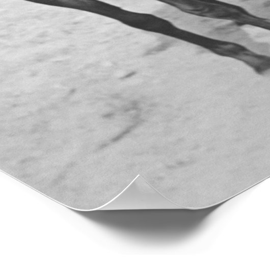 Poster Chevaux à cheval en couple (Coin)