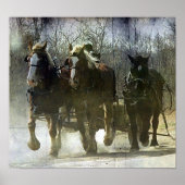 Poster Chevaux Amish (Devant)