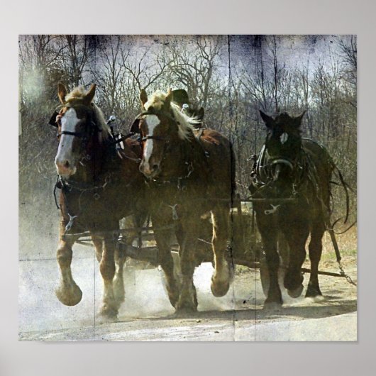 Poster Chevaux Amish (Devant)