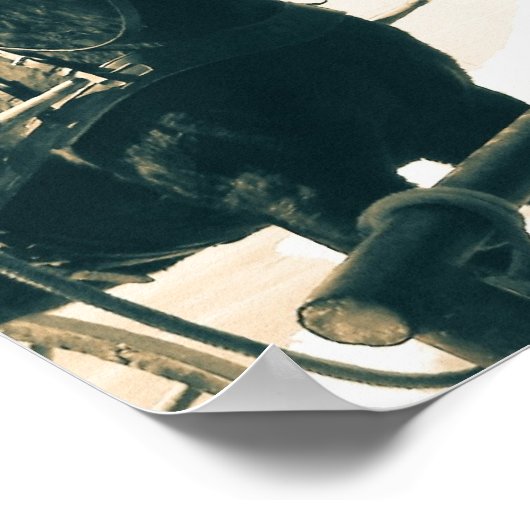 Poster Chevaux Amish (Coin)