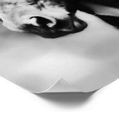 Poster Chevaux Apache (Coin)