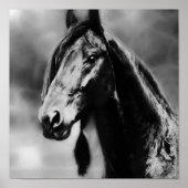 Poster Chevaux Apache (Devant)