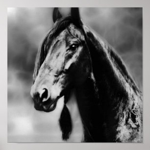 Poster Chevaux Apache