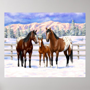 Poster Chevaux Appaloosa De Baie Brown En Neige