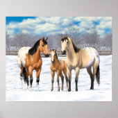 Poster Chevaux Appaloosa En Peau De Bouche En Neige (Devant)