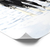 Poster Chevaux Appaloosa Noir En Neige (Coin)