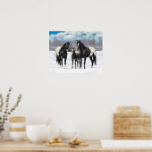 Poster Chevaux Appaloosa Noir En Neige (Cuisine)