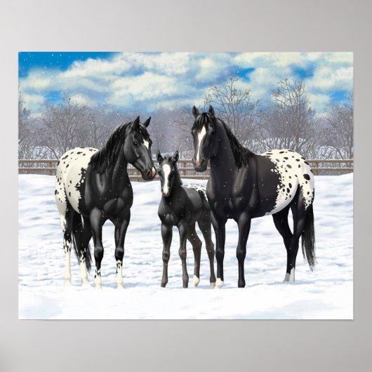 Poster Chevaux Appaloosa Noir En Neige (Devant)
