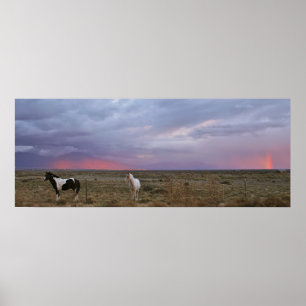 Poster Chevaux après la tempête