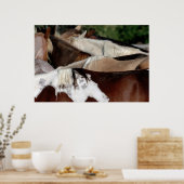 Poster Chevaux arc-en-ciel (Cuisine)