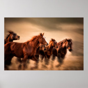 Poster Chevaux au galop, flou et crinières au vent