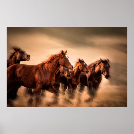 Poster Chevaux au galop, flou et crinières au vent (Devant)