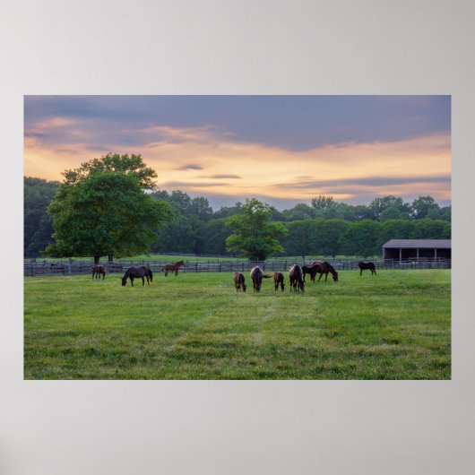 Poster Chevaux au pâturage (Devant)