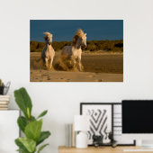 Poster Chevaux Blancs Courant Sur La Plage | Camargue, Fr (Bureau à domicile)