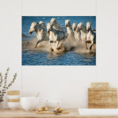 Poster Chevaux blancs de Camargue, France (Cuisine)
