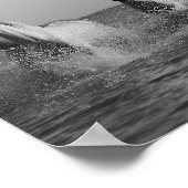 Poster Chevaux blancs, océan, photo noir et blanc (Coin)