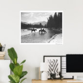 Poster Chevaux buvant et traversant une rivière (Bureau à domicile)