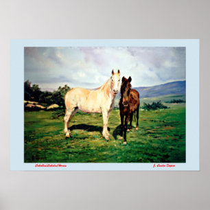 Poster Chevaux/Cabalos/Horses
