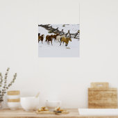 Poster Chevaux courant dans la neige (Cuisine)