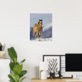 Poster Chevaux courant dans la neige (Bureau à domicile)