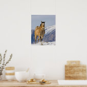 Poster Chevaux courant dans la neige (Cuisine)