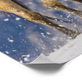 Poster Chevaux courant dans la neige (Coin)