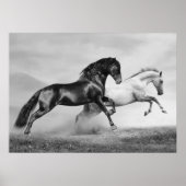 Poster Chevaux courir (Devant)