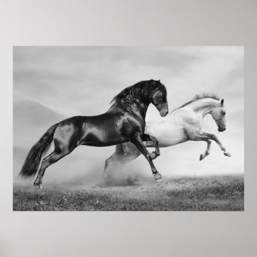 Poster Chevaux courir (Devant)