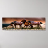 Poster Chevaux courir dans le Surf (Devant)