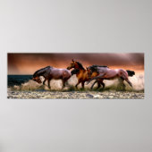 Poster Chevaux courir dans le Surf (Devant)