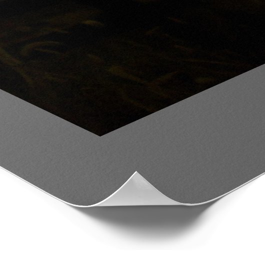 Poster Chevaux dans le brouillard (Coin)