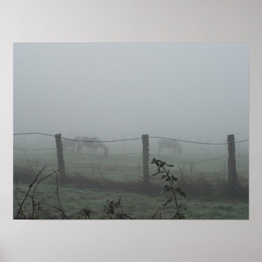 Poster Chevaux Dans Le Brouillard Du Matin (Devant)