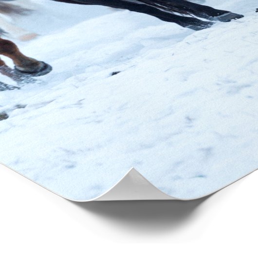 Poster Chevaux dans le froid (Coin)