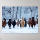 Poster Chevaux dans le froid (Devant)