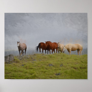 Poster Chevaux dans le pâturage