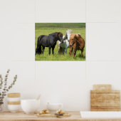Poster Chevaux dans le ranch, sud de l'Islande (Cuisine)