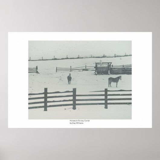 Poster Chevaux dans Snowy Corral (Devant)