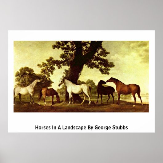 Poster Chevaux Dans Un Paysage Par George Stubbs (Devant)